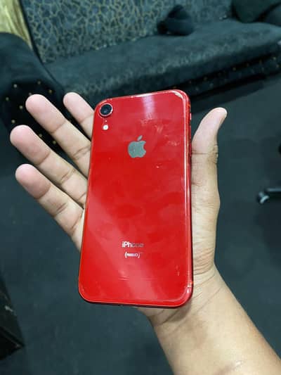 Iphone XR (Non PTA) 64GB