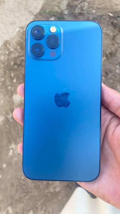 chochaa piece 87 health non pta 03062503010