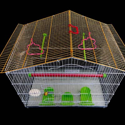 Bird cage