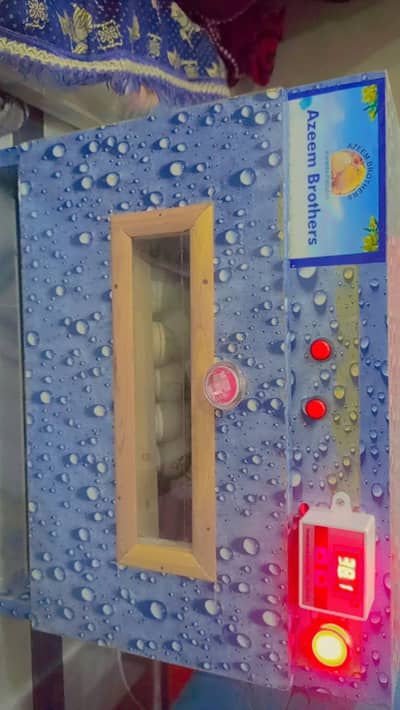 Azeem brothers High - Quality Egg incubator ( Excellent condition )