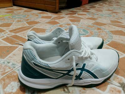 ascis gel game 8 in very reasonable price