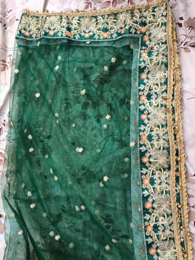 Mehandi bridal lehenga