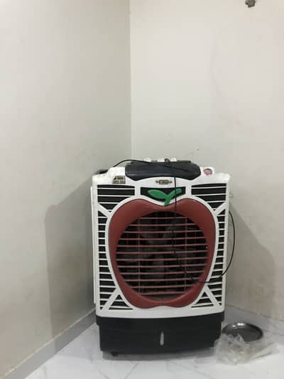 Super Asia condition Used