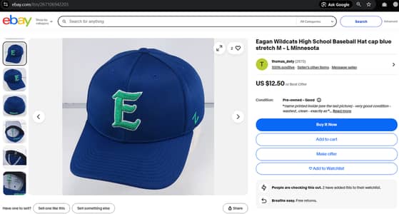 Eagan Wildcats Cap | Imported