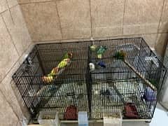 Buy 8 cages for sell assemble easily and get 1 huge cage spacious