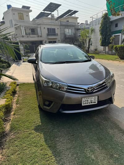 total jaion san roof