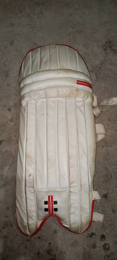 Cricket kit