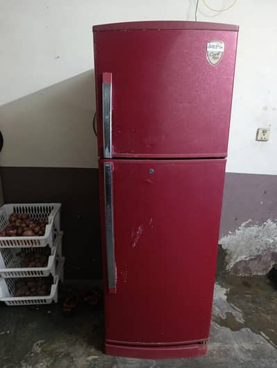 singer Fridge Large size