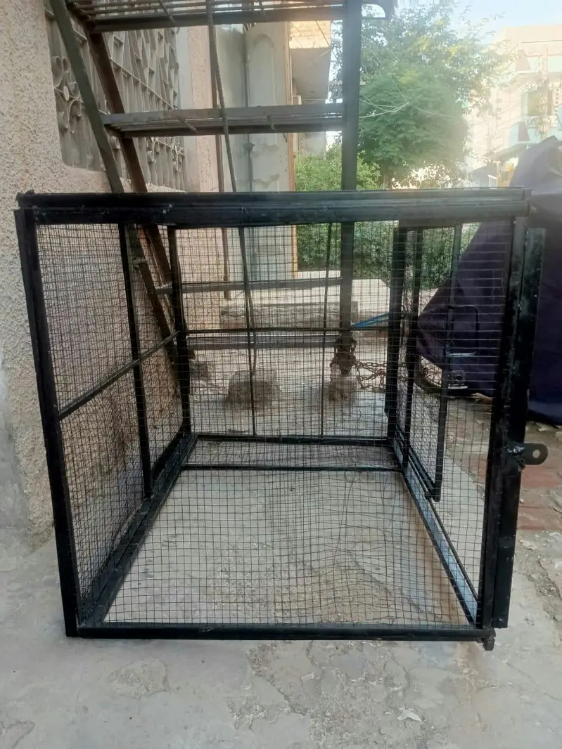 Strong Lohy ka Cage — photo 4