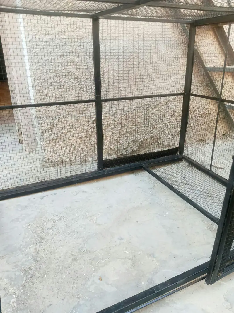 Strong Lohy ka Cage — photo 6