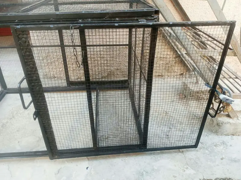 Strong Lohy ka Cage — photo 7
