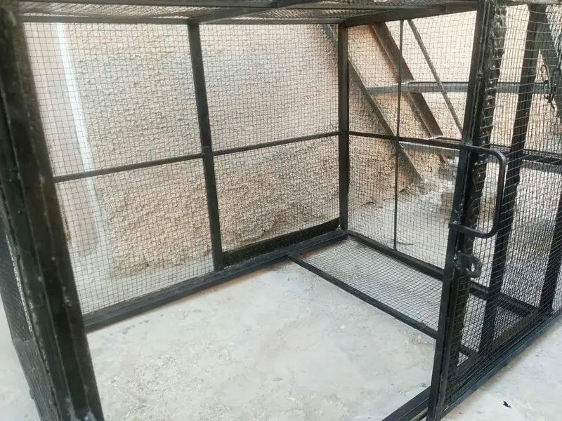Strong Lohy ka Cage — photo 10