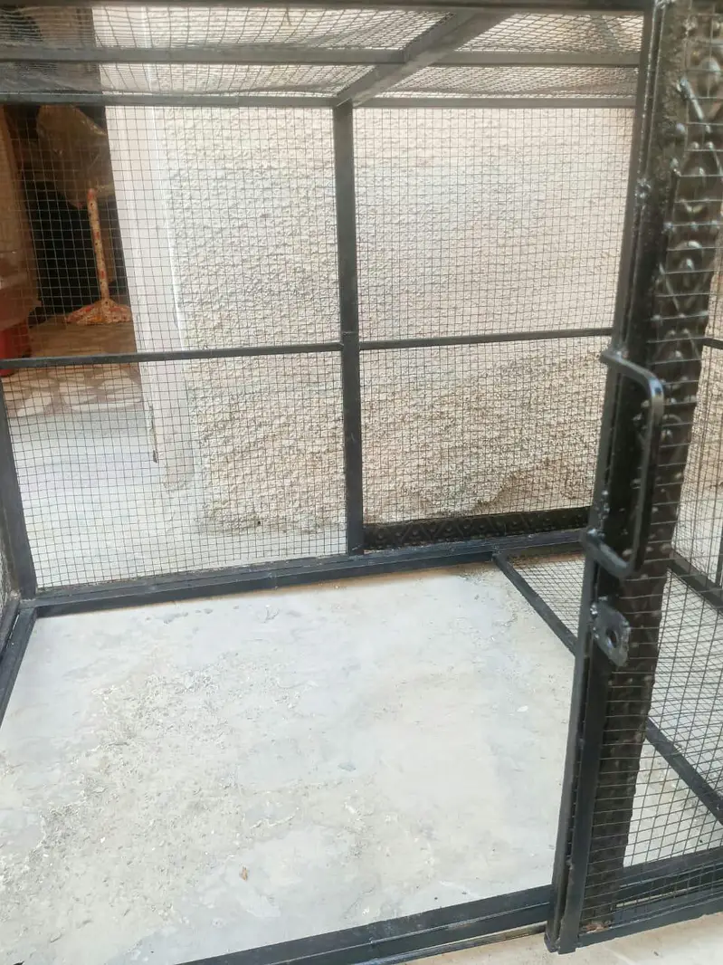 Strong Lohy ka Cage — photo 11