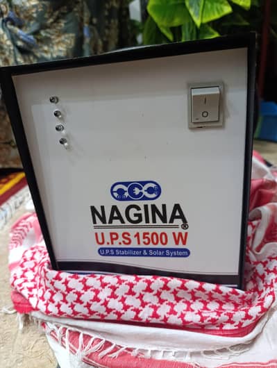 Nagina ups