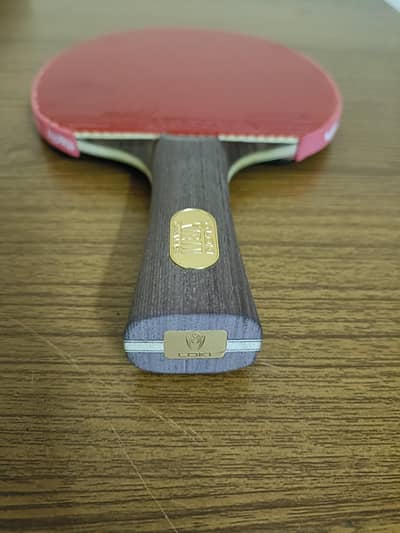 Yasaka Mark V and Tenergy 64 racket