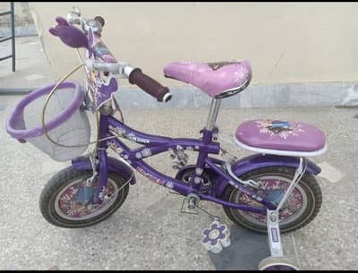 Kids Disney Frozen Bicycle (3 to 7 Years)