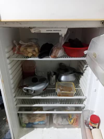 large size fridge