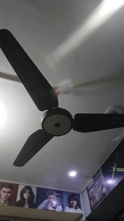 Ceiling fan Urgent Sale