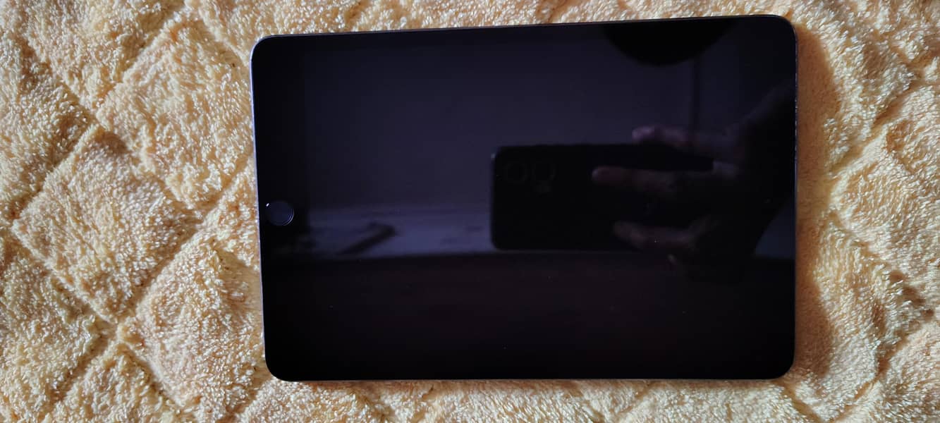 IPAD Mini 5 3