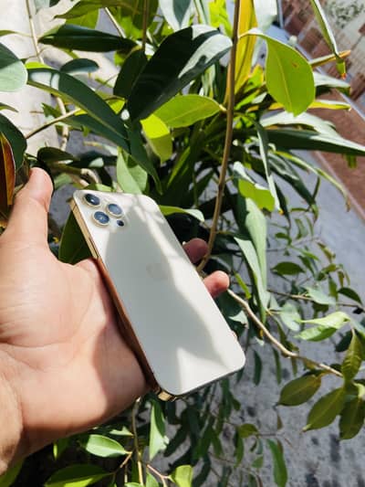 Iphone 12 pro max factory unlock