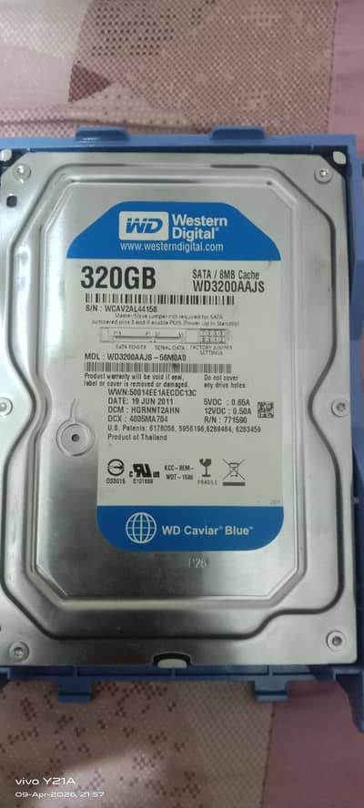 Western Digital (WD) Caviar Blue