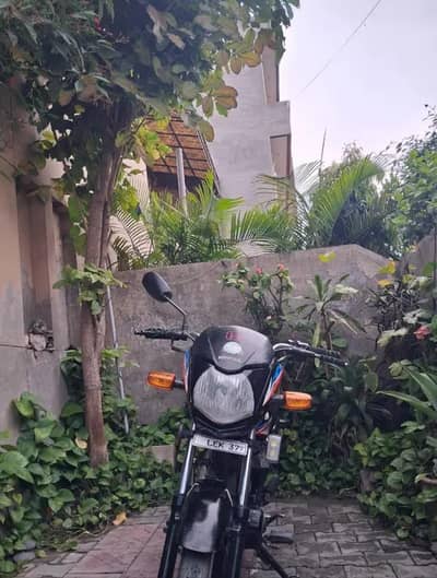 Honda 125 Dream 2017. Ist hand