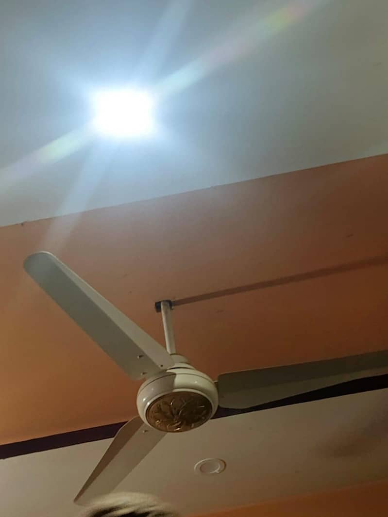 Ceiling Fan 1