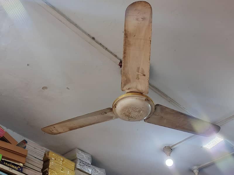 Ceiling Fan 2