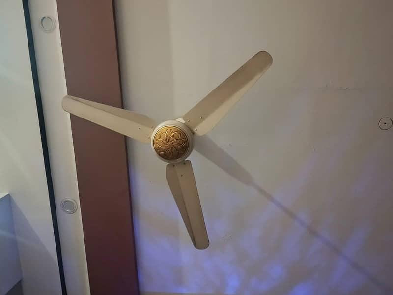 Ceiling Fan 3