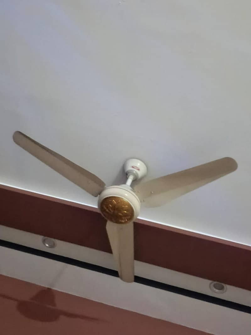 Ceiling Fan 4
