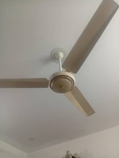 fan condition 10 by 10