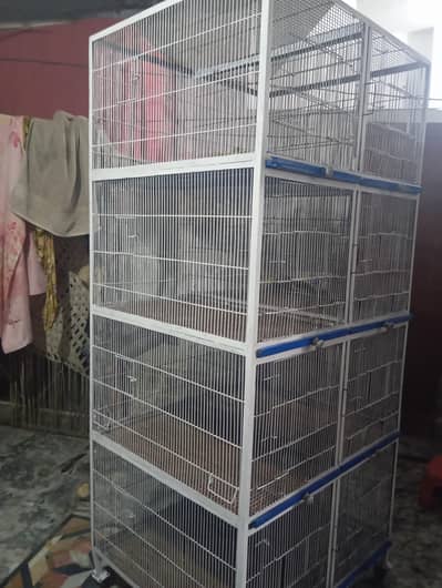 cage for multiple birds big capacity  03434173179