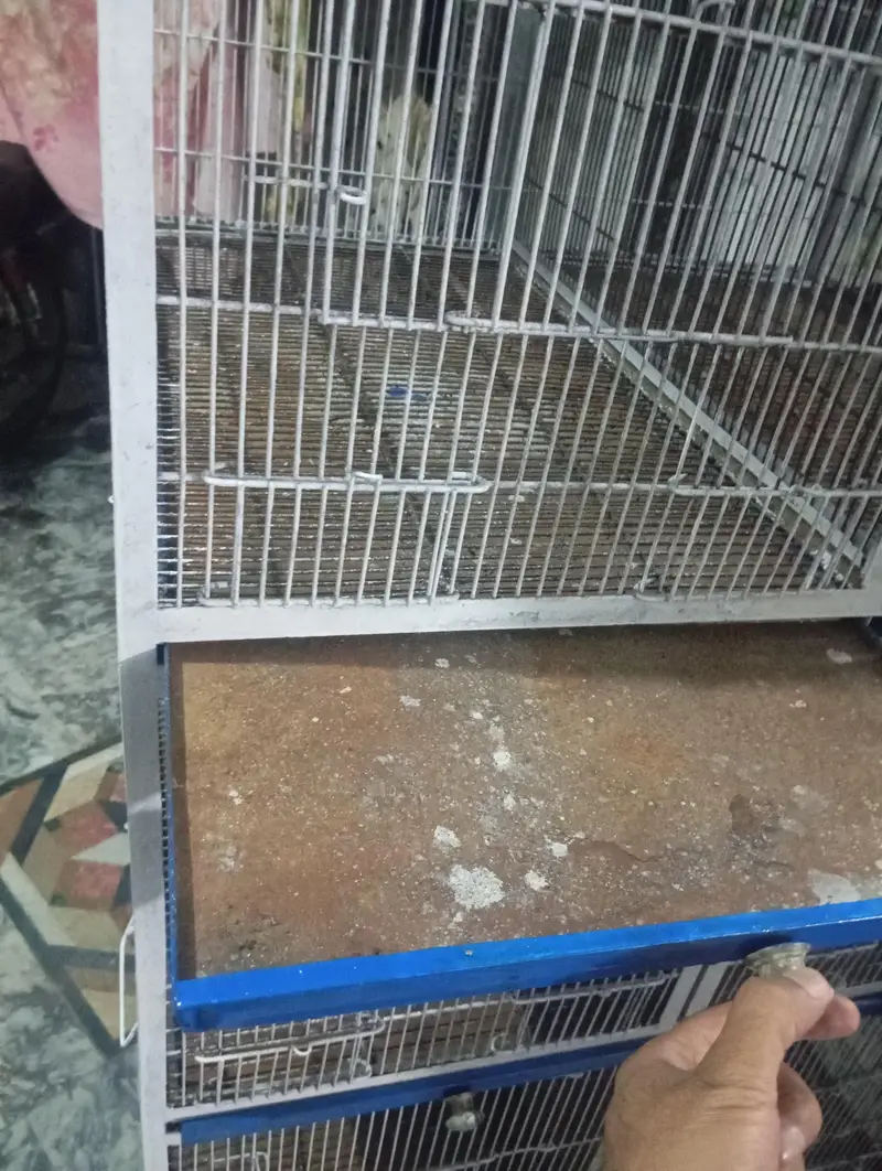 cage for multiple birds big capacity  03434173179 — photo 2