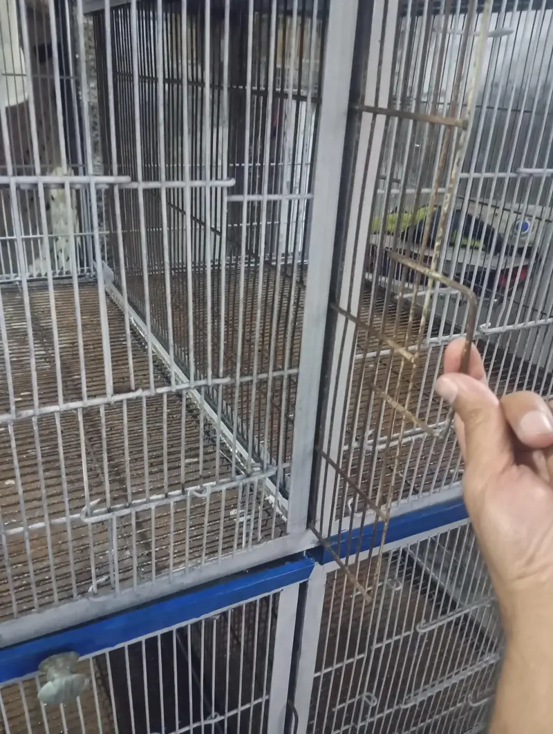 cage for multiple birds big capacity  03434173179 — photo 3