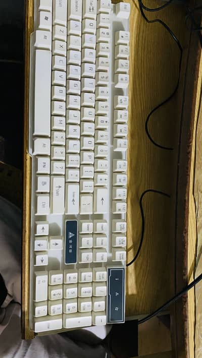 golden field G21-b  wierd gaming keyword