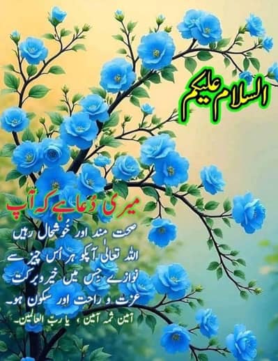 DC4600 PLUS AIR COOLER DC HAI AC NAHE