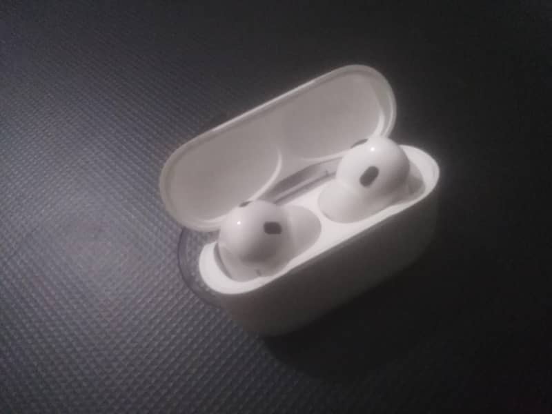 Earbuds 1
