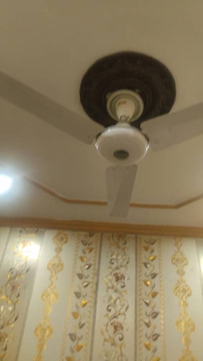 GFC fan lush condition 4 fans