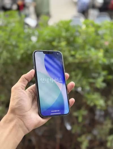 Iphone 13 pro max (JV)