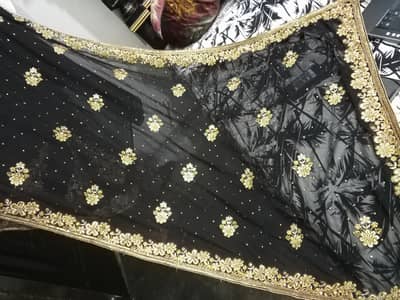 Black chiffon Saree.