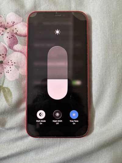 iPhone 12  Factory Unlock (READ DESCRIPTION)