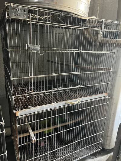 Birds Cage 1.5 By 2 Feet , 1.5 By 2.5 feet.