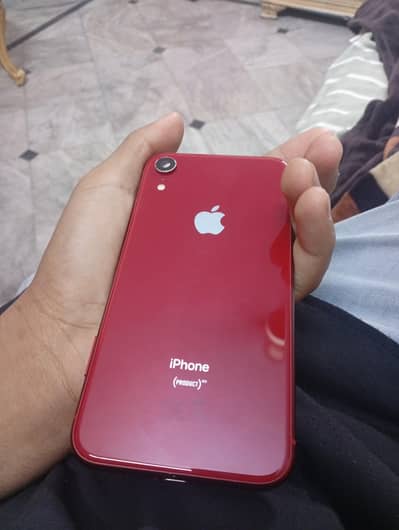 iPhone XR