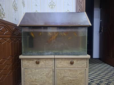 Aquarim with Tank Head