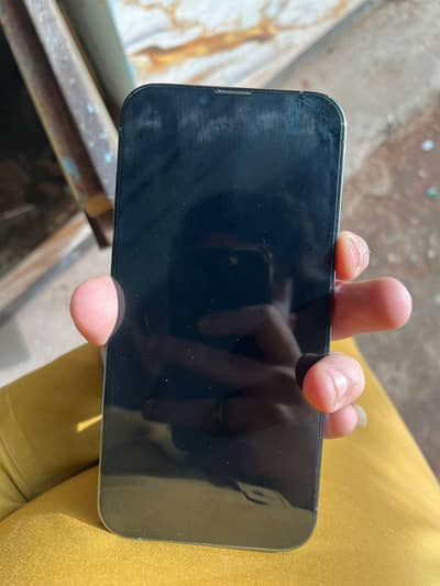 I phone 13 pro max Factory unlocked