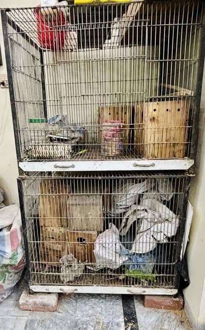 Cages | Iron Cages | cages for birds | Cages for pets | Heavy Cages |