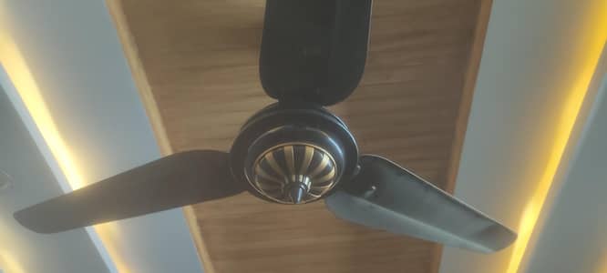 Pak Punjab Ceiling Fan at reasonable price of 6000