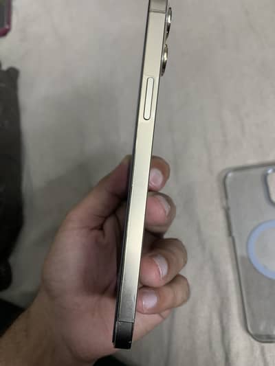 Iphone 12 pro max pta approved