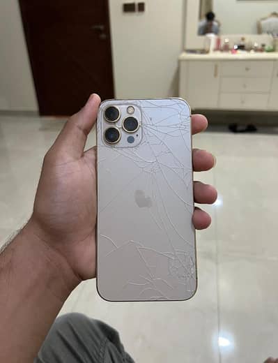 iphone 12 pro max approved