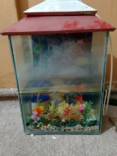 aquarium & plants &. 2 fish and motar